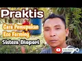 Download Lagu Eco Farming untuk Sawit - Pupuk Eco Farming Asli 100% - Pupuk organik eco farming