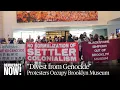 Divest from Genocide 1 000 Protest Brooklyn Museum for Israel Ties NYPD Arrests 34