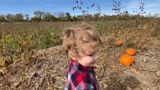 Garver Pumpkin Patch 2019 - Middletown Ohio