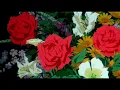 man downstairs - avery anna (slowed + reverbed)