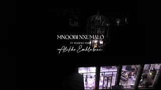 alikho emhlabeni mnqobi nxumalo feat nozipho phiri