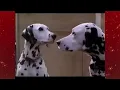 Download Lagu Nestlé 101 Dalmatiërs Promo | Retro Commercial
