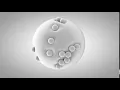 Collision Deformer Dynamics C4D Tutorial