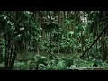 Relaxing Rain Sounds with Distant Thunder | for Sleep, Studying, Focus | Jungle White Noise 10 Hours