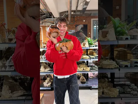НОВИНКА! Ограниченная серия наших тыковок уже доступна на нашем сайте и в филиалах🎃