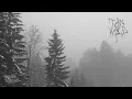 Download Lagu TANVALD - Zármutek (Atmospheric Black Metal - official video)