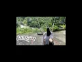 Download Lagu Fly High In Bali🌺 #ytshorts #viralvideo #naturelovers