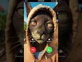 Download Lagu Big Cat Calling You at 3 am... 🤣