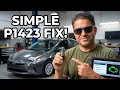 P1423 P0441 P0455 FIXED CHECK ENGINE LIGHT HERE S WHAT S REALLY WRONG