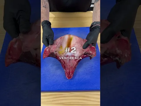 Ventresca y pilpil de pimientos