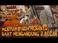 Download Lagu M3RTUA EKSEKUSl MEN4NTU DI PASURUAN