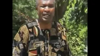 kikuyu ngogoyo mix 2020