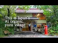 Download Lagu I Visited Japan’s #1 Organic Yuzu Producer (and Only 750 People Live Here)