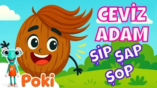 Ceviz Adam Sip Sap Sop Cizgi Film Cocuk Sarkilari Poki Canli Yayin