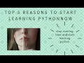 5 reasons why you should learn python I programming kids