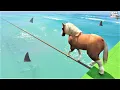 Download Lagu حصان يجازف من فوق أسماك القرش 🐸 GTA 5 - Horse Risky Walk Through The Sharks
