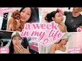 WEEK IN MY LIFE Botox Nails Puppy s First Groom Night Hair Routine