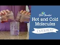 Hot and Cold Molecules Experiment Energy The Good and the Beautiful