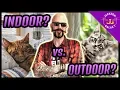 Download Lagu Indoor Cat Vs. Outdoor Cat?
