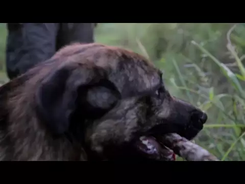 Our War - Trailer - Stockholm International Film Festival 2016
