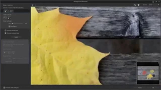 Guided Editing Tools in Layers PhotoDirector