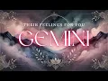 Download Lagu GEMINI tarot ♊️ Iemand staat op het punt zijn hart te uiten, alleen maar om je dichtbij te houden