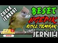 Download Lagu MASTERAN WAJIB || CUCAK JENGGOT FULL BESET NGEPIK SPEED RAPAT AUDIO JERNIH