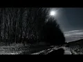 Basic Moon Phase Tips for Deer Hunting