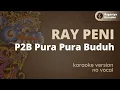 Download Lagu Ray Peni Pura Pura Buduh Karaoke, Lagu Bali, Bagastya Karaoke