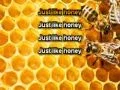 Download Lagu The Jesus and Mary Chain - Just Like Honey [Karaoke]