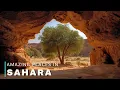 Download Lagu Unseen Sahara | Ghosts of the Dunes A Desert Beyond Time | Travel Video 4K