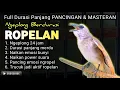 NO 1 TERAPI !! TRUCUKAN GACOR ROPEL PANJANG CEPAT MEMANCING TRUCUK BUNYI NYAUT ROPELAN