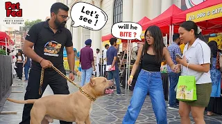 Bully Ko PetFed Le Gaye… Phir Jo Hua 😱