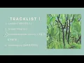 Download Lagu [Full Album] Jannabi (잔나비) - Jannabi’s small pieces ll : Grippin’thegreen