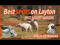 THE BEST SPOT TO HUNT ON LAYTON LAKE 20K IN 20MIN 2021
