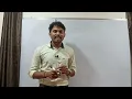 Test scenario vs Test case Software Testing Tutorial