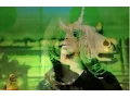 Download Lagu t!tt!es (devonwho/holdupzelda)