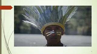 ANÁLISE DE "OWERA - Xondaro Ka'aguy Reguá" - OBRA DO PAS 1 DA UnB.