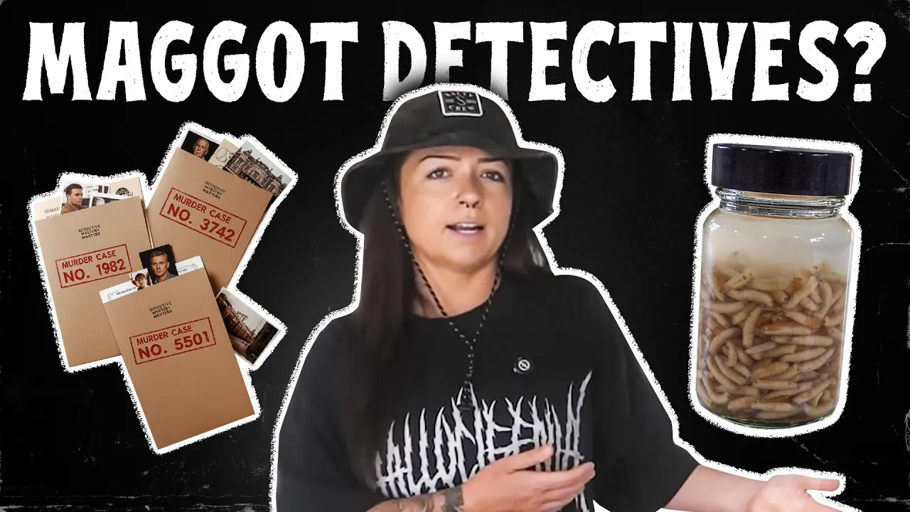 How Insects Solve M*RDERS | Lindsay Nikole