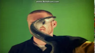 Eel slap