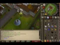 06 35 09 07 - Elite clue scroll