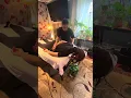 Thai Trigger Point Massage and Spa Benz Thai Massage and Spa Brampton Canada