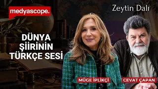 Cevat Çapan’ın birikimine, sanatına ve hayatına dair | Zeytin Dalı