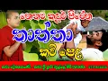 Download Lagu Thaththa Kavi Sinhala | කාව්‍ය ශ්‍රී බදුල්ලේ සමිත හිමි | Thaththa Kavi Bana