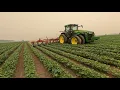 Row Crop Cultivator with Section Control First Field Look