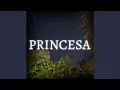 Download Lagu Princesa