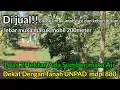 Download Lagu DI JUAL!! Tanah 2hekter Ada sumber mata air Cocok untuk impestasi dan kebun Durian