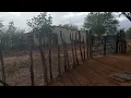 Download Lagu Uma chuvinha no sertão/ olha a hora que ele chegou do roçado 