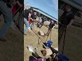 Stone Over Bar at Alberta s Strongest Viking 2023 - 23 Reps