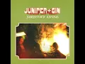 Juniper & Gin - Jamestown Revival